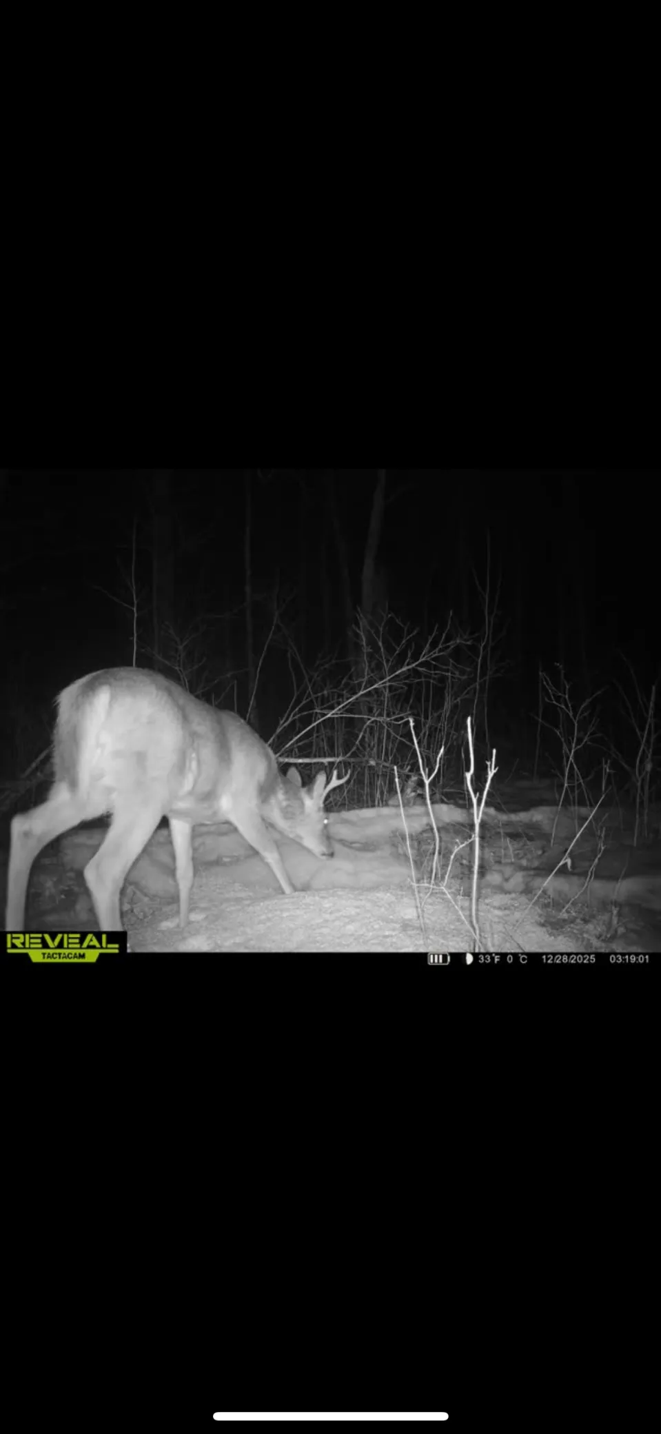 TBD 30th Ave Isle, MN 56342