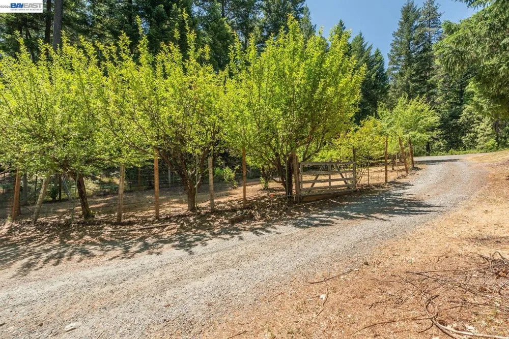 891 Salt Flat Rd Lewiston, CA 96052