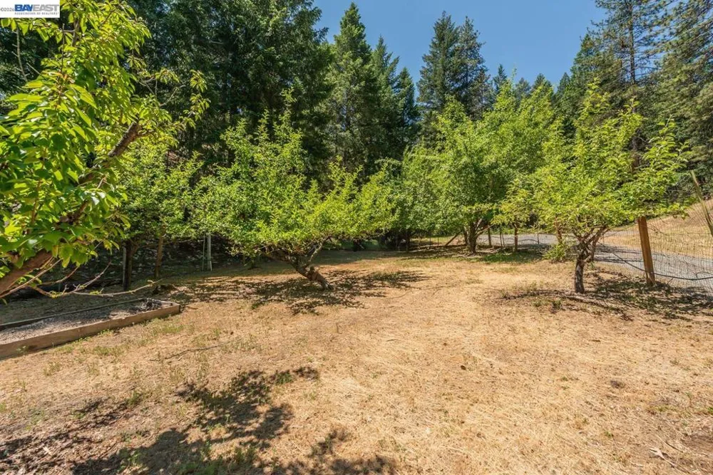 891 Salt Flat Rd Lewiston, CA 96052
