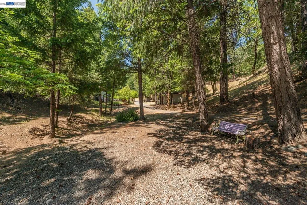891 Salt Flat Rd Lewiston, CA 96052