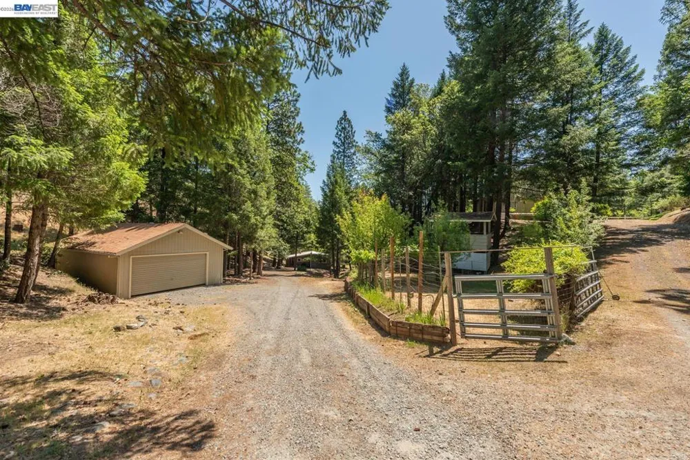 891 Salt Flat Rd Lewiston, CA 96052