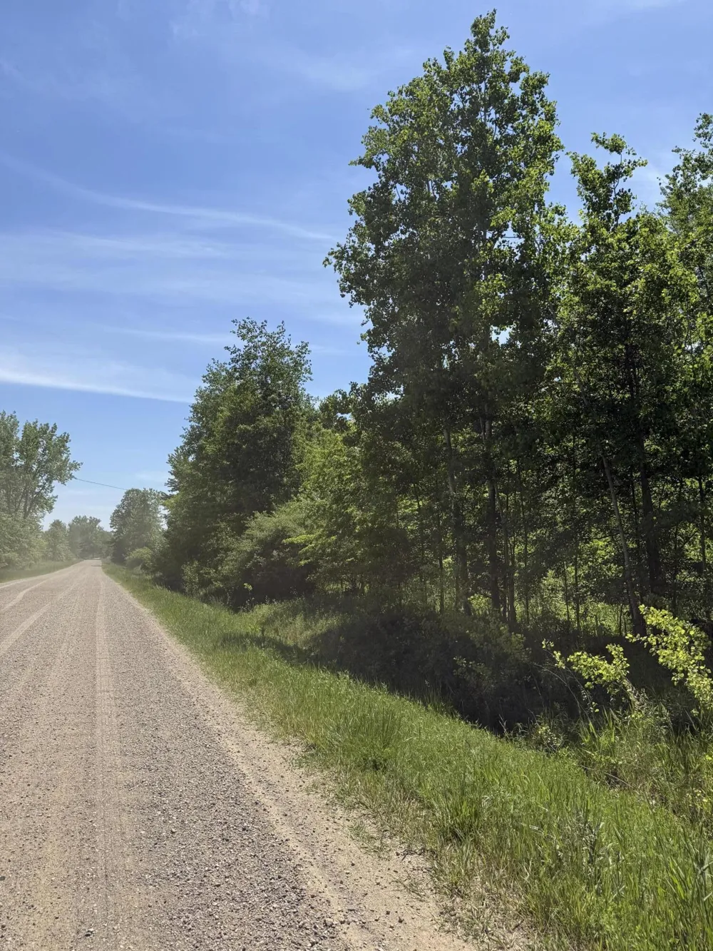 V/L 50th Street Bangor, MI 49013