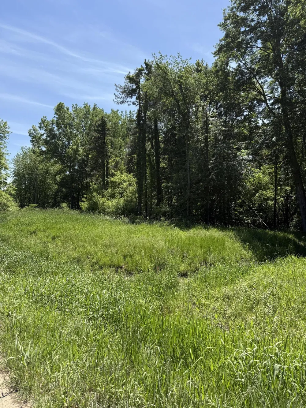 V/L 50th Street Bangor, MI 49013