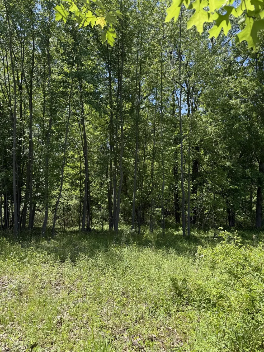 V/L 50th Street Bangor, MI 49013