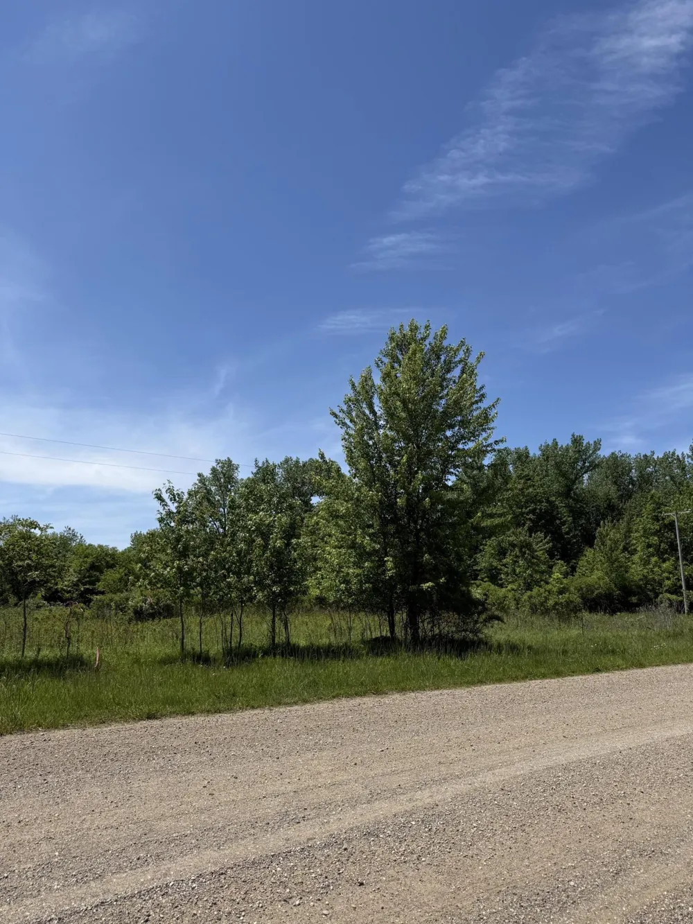 V/L 50th Street Bangor, MI 49013