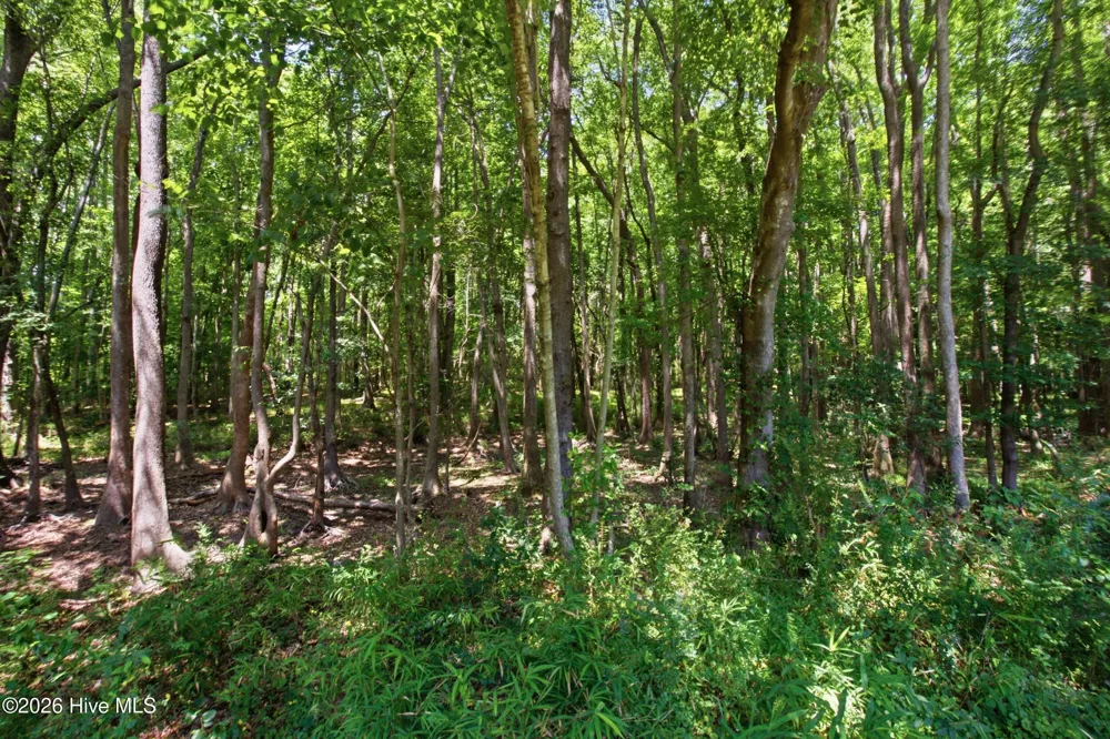 1228 Core Point Road Blounts Creek, NC 27814
