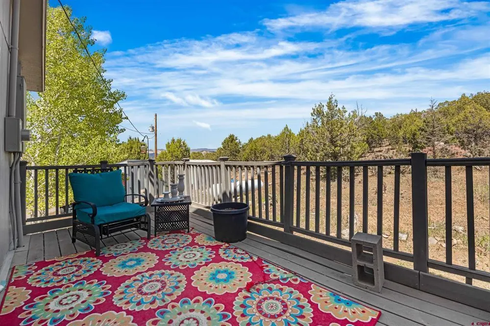 49991 Eagles Way Mesa, CO 81643