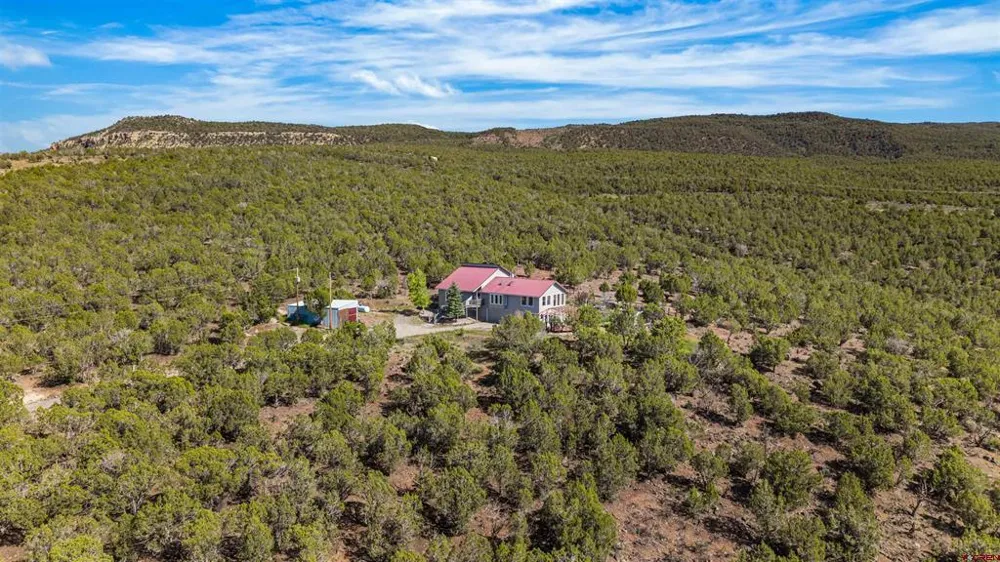 49991 Eagles Way Mesa, CO 81643