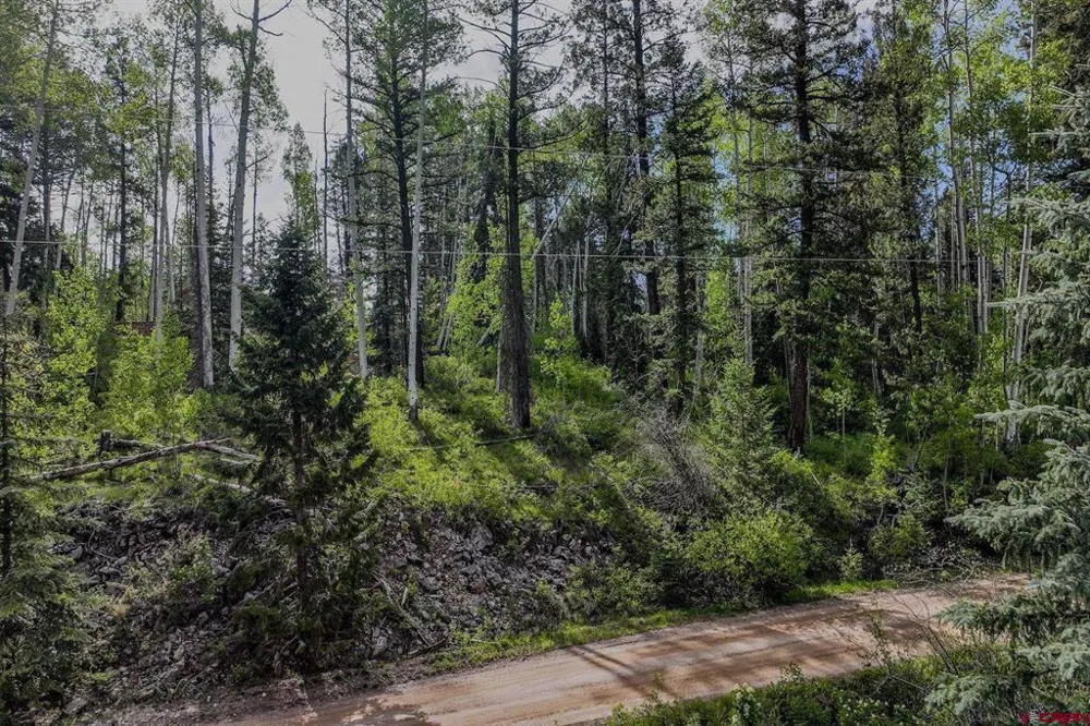302 Beaver Circle Durango, CO 81301