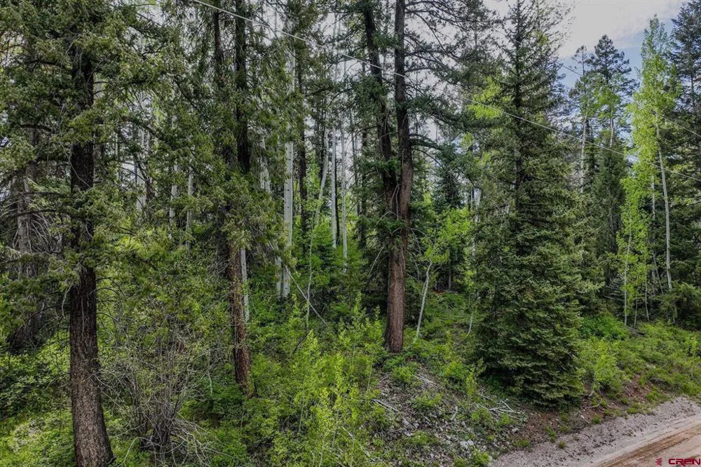 302 Beaver Circle Durango, CO 81301