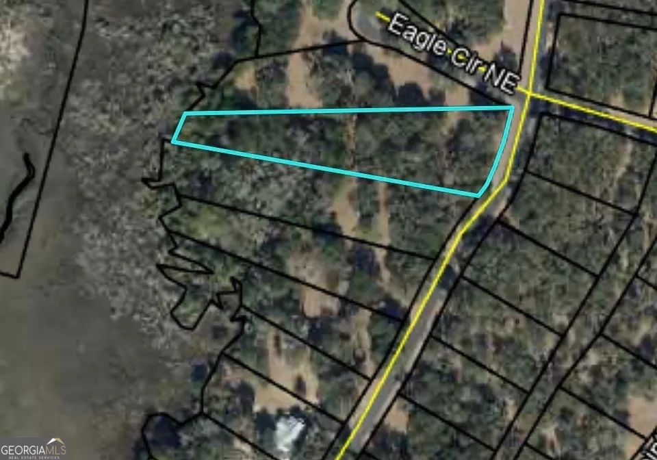LOT 241 Coopers Landing DR NE Townsend, GA 31331