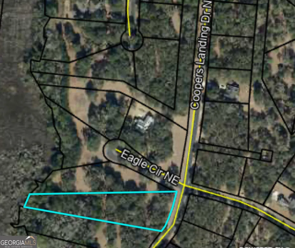 LOT 241 Coopers Landing DR NE Townsend, GA 31331