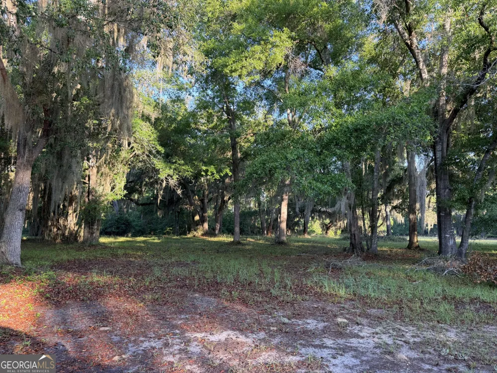 LOT 241 Coopers Landing DR NE Townsend, GA 31331
