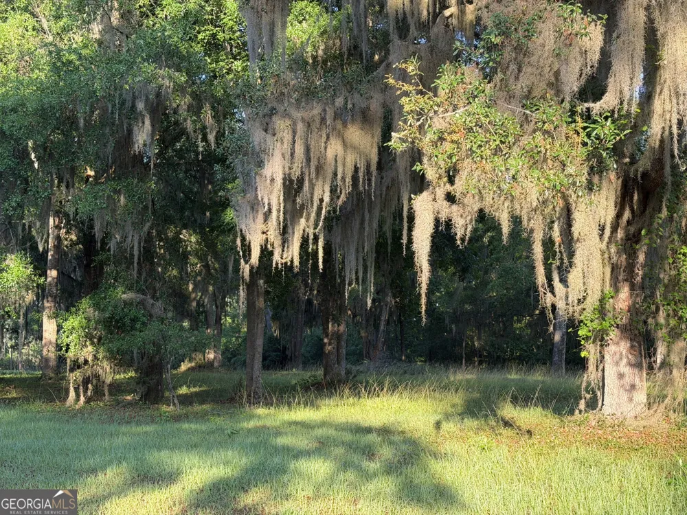LOT 241 Coopers Landing DR NE Townsend, GA 31331