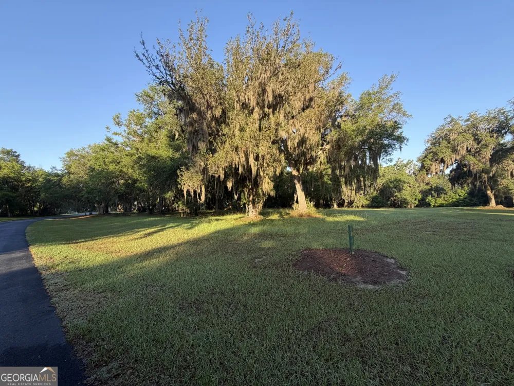 LOT 241 Coopers Landing DR NE Townsend, GA 31331