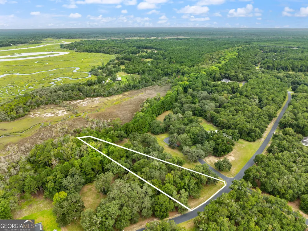 LOT 241 Coopers Landing DR NE Townsend, GA 31331