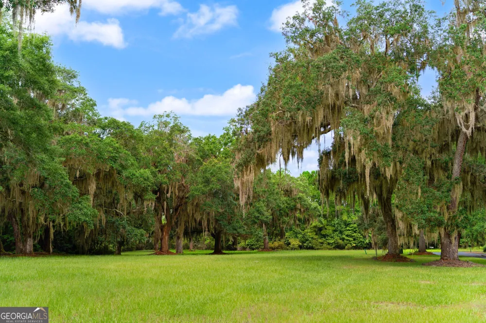 LOT 241 Coopers Landing DR NE Townsend, GA 31331
