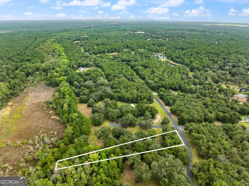 LOT 241 Coopers Landing DR NE Townsend, GA 31331