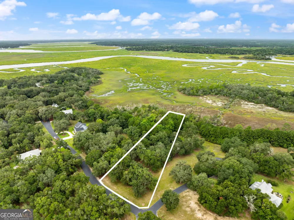 LOT 241 Coopers Landing DR NE Townsend, GA 31331