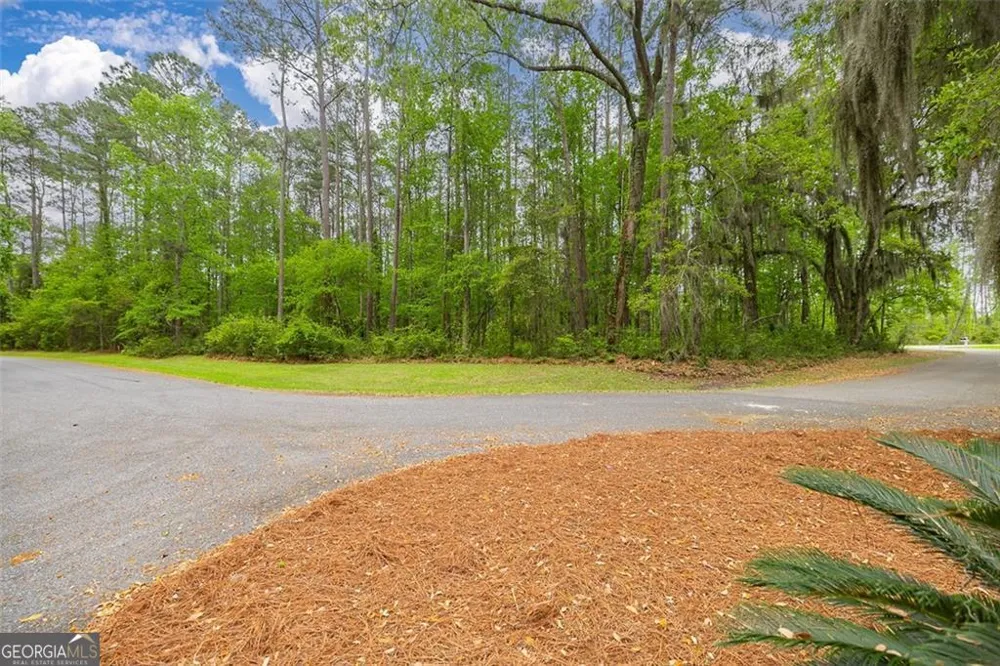 LOT 216 Riverpoint LN NE Townsend, GA 31331