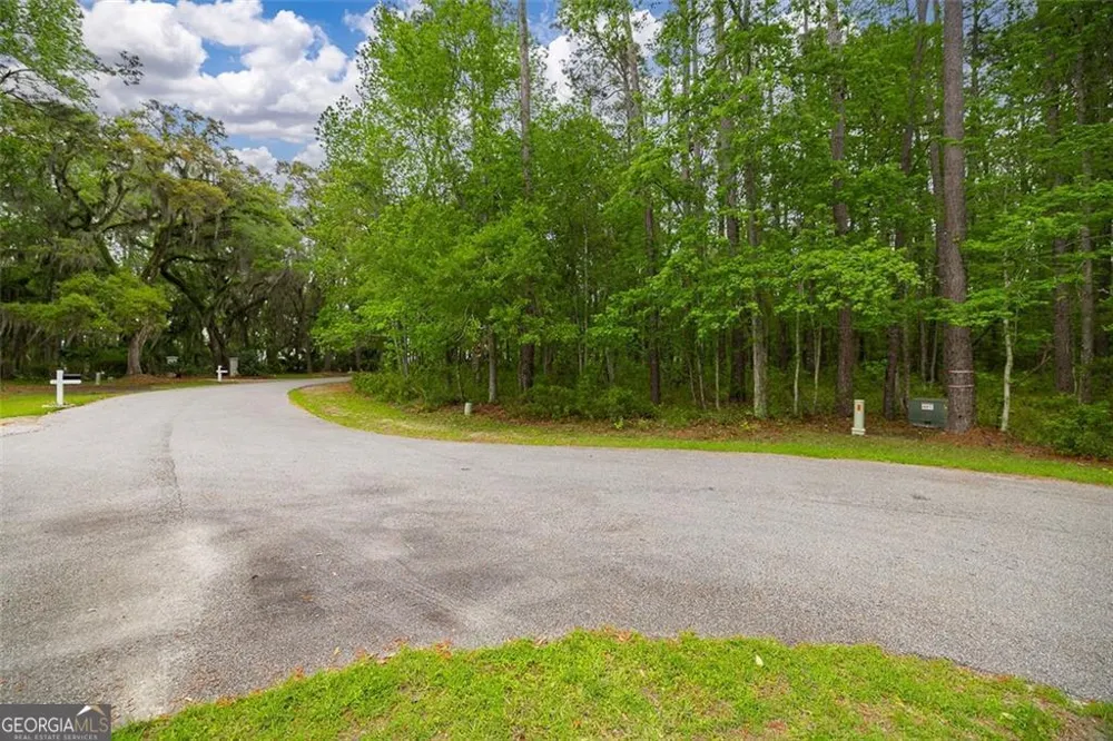 LOT 216 Riverpoint LN NE Townsend, GA 31331