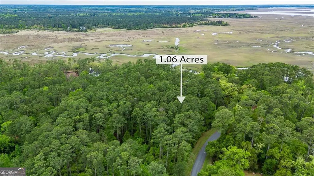 LOT 216 Riverpoint LN NE Townsend, GA 31331