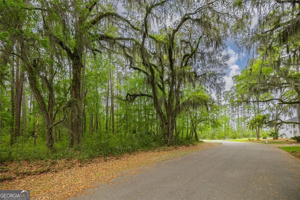 LOT 216 Riverpoint LN NE Townsend, GA 31331