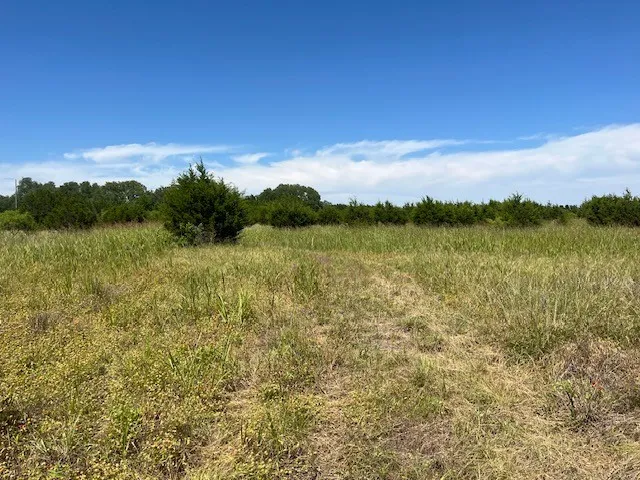 707 County Road 426 Purmela, TX 76566
