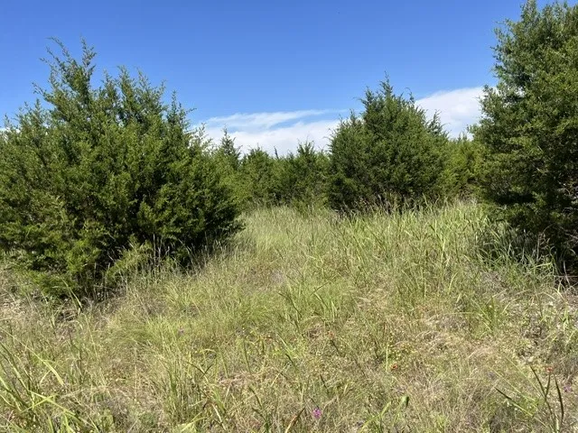707 County Road 426 Purmela, TX 76566