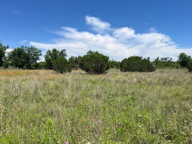 707 County Road 426 Purmela, TX 76566