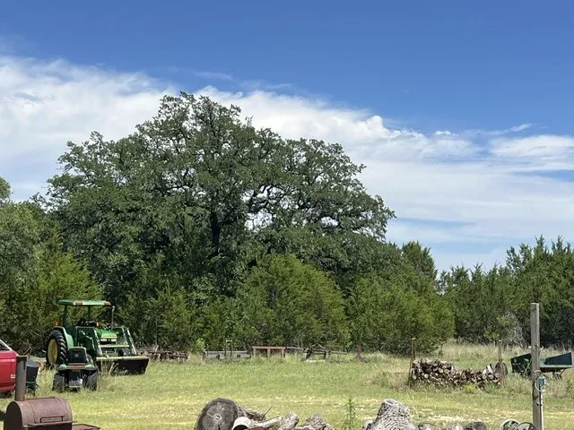 707 County Road 426 Purmela, TX 76566