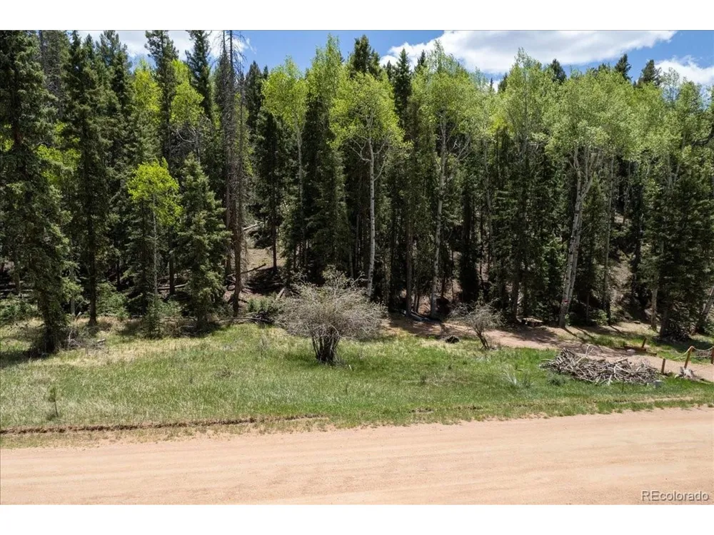 546 Spring Valley Lane Florissant, CO 80816