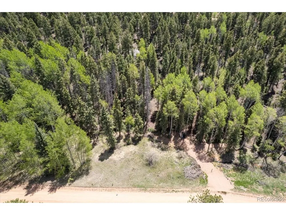 546 Spring Valley Lane Florissant, CO 80816