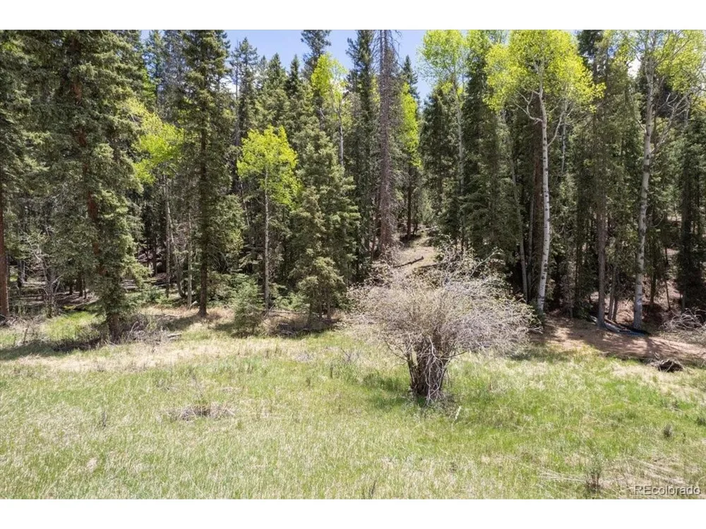 546 Spring Valley Lane Florissant, CO 80816