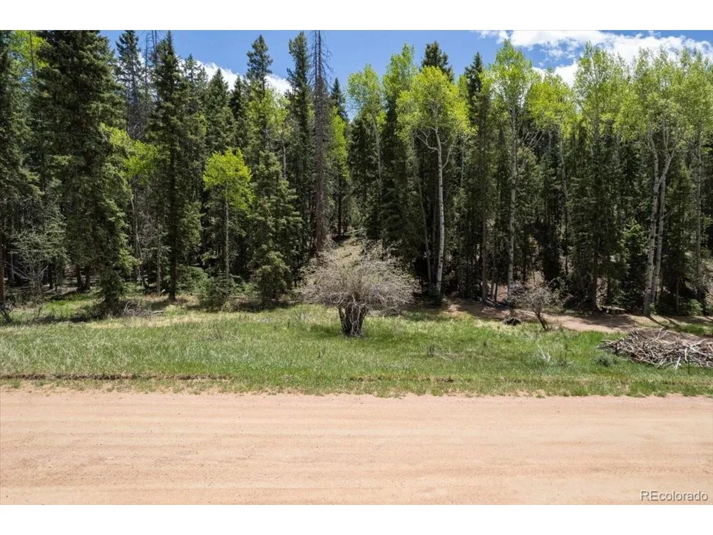 546 Spring Valley Lane Florissant, CO 80816