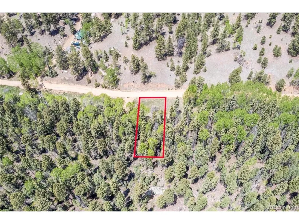 546 Spring Valley Lane Florissant, CO 80816