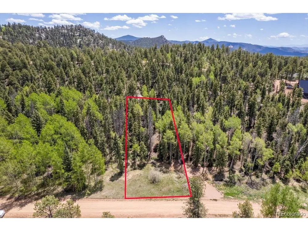 546 Spring Valley Lane Florissant, CO 80816