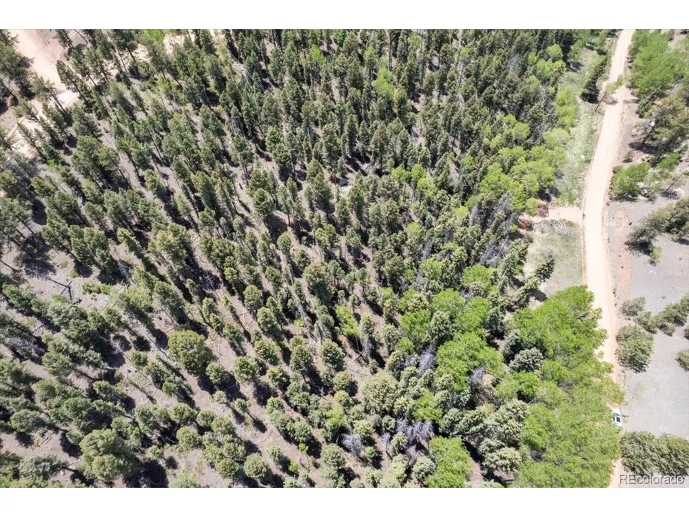 546 Spring Valley Lane Florissant, CO 80816