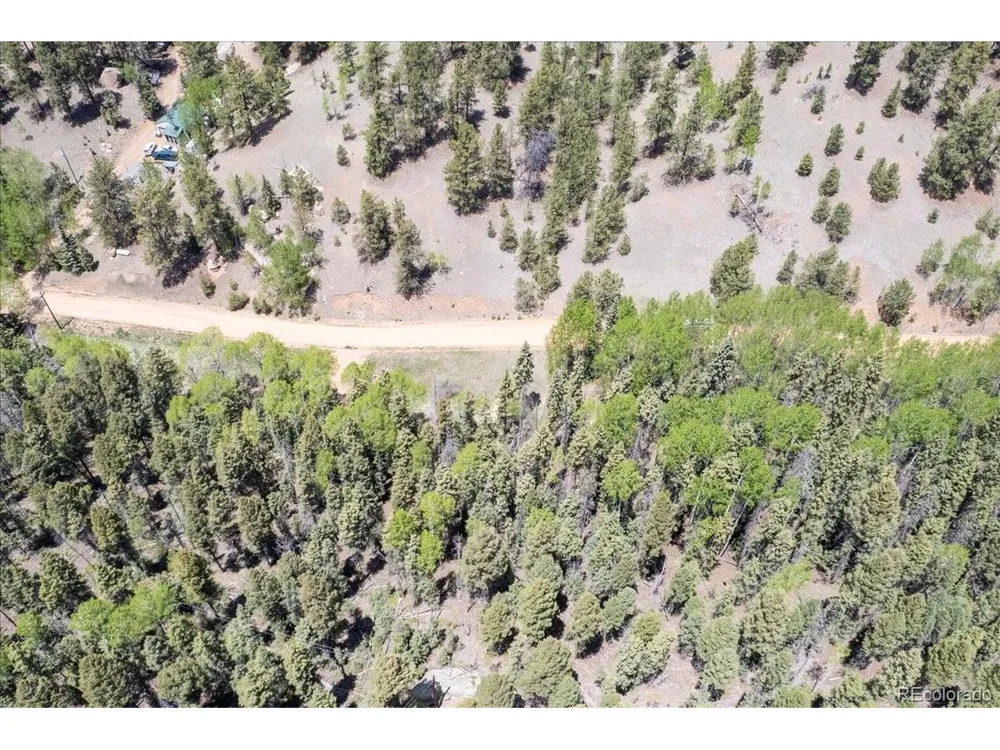 546 Spring Valley Lane Florissant, CO 80816