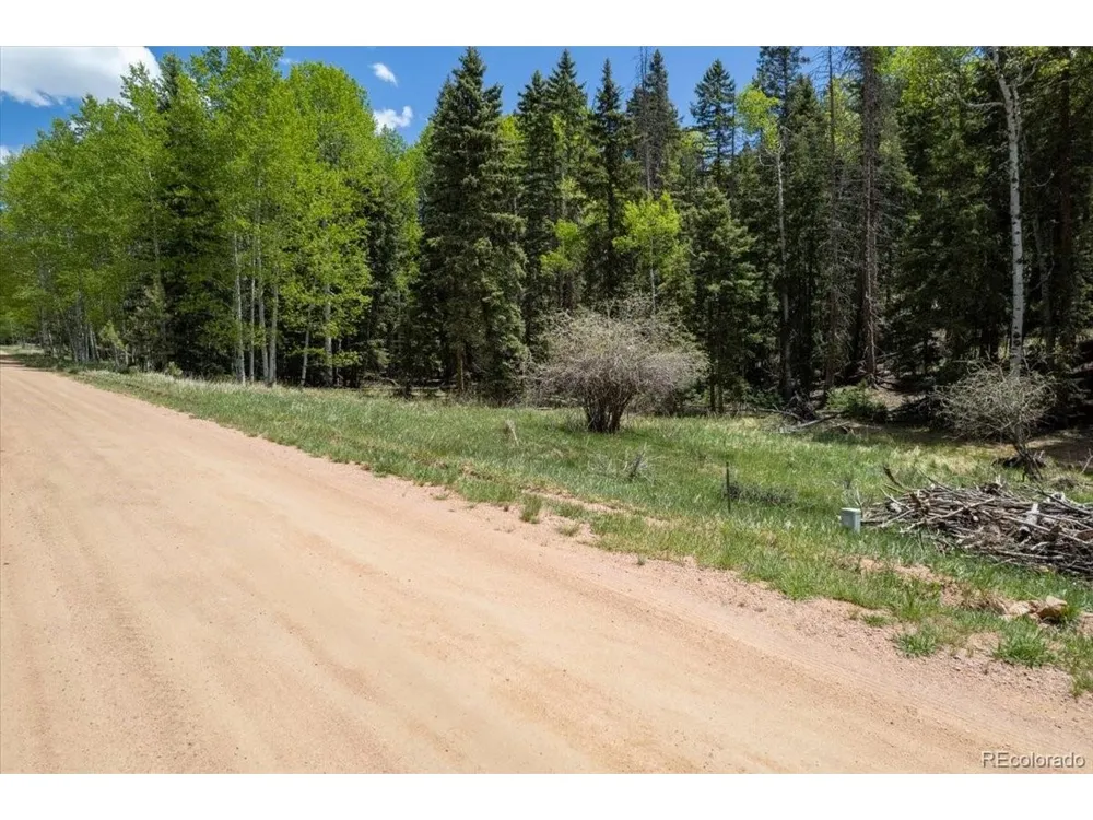546 Spring Valley Lane Florissant, CO 80816