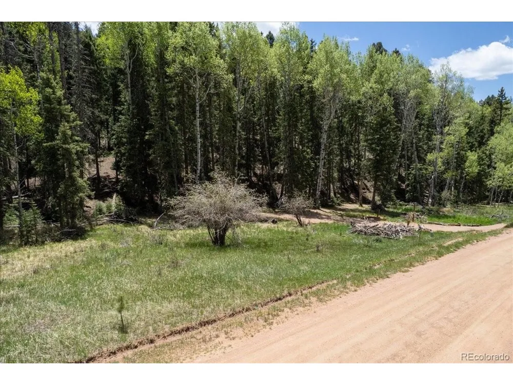 546 Spring Valley Lane Florissant, CO 80816