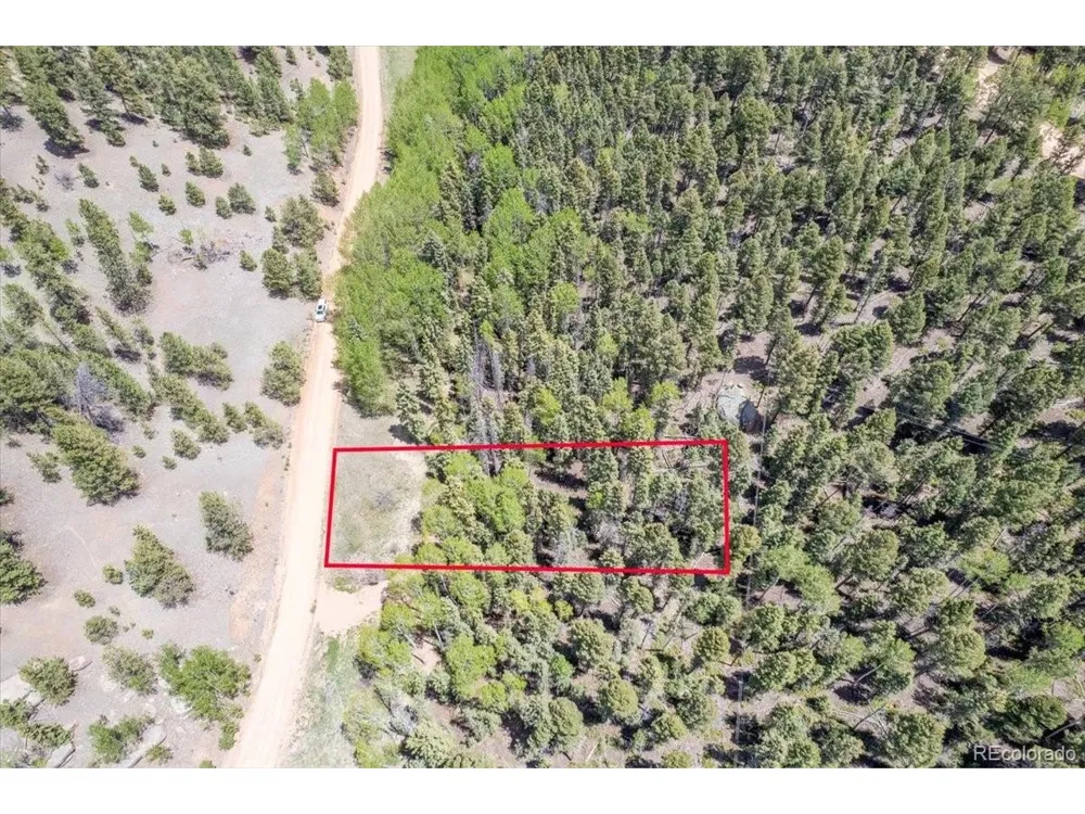 546 Spring Valley Lane Florissant, CO 80816