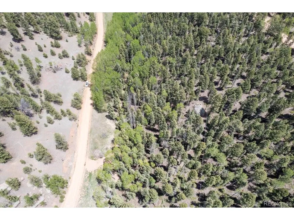546 Spring Valley Lane Florissant, CO 80816