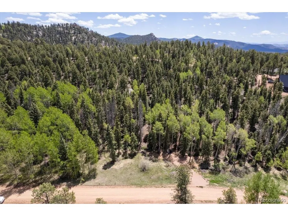 546 Spring Valley Lane Florissant, CO 80816