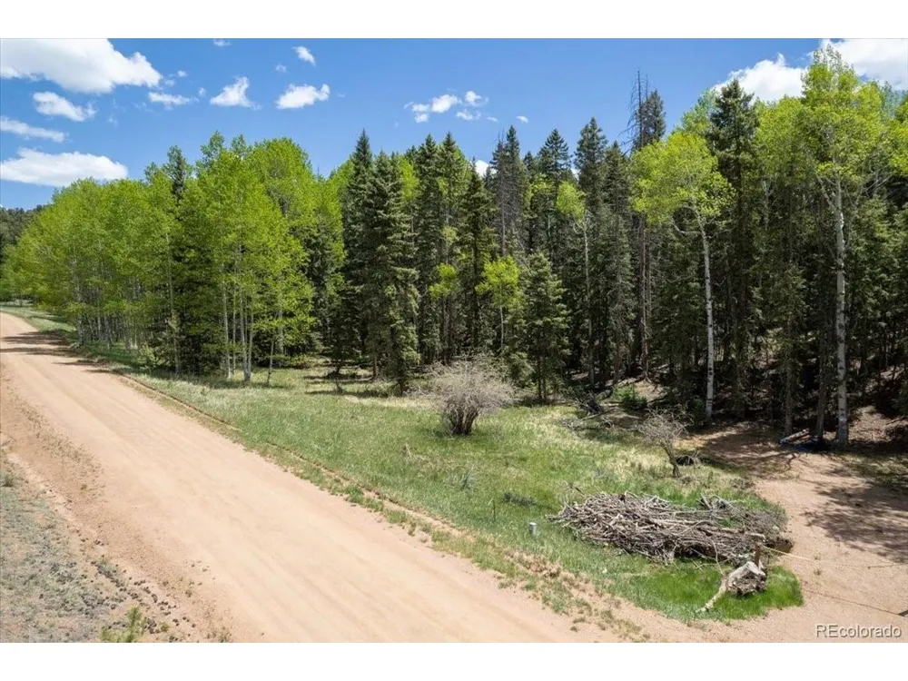 546 Spring Valley Lane Florissant, CO 80816