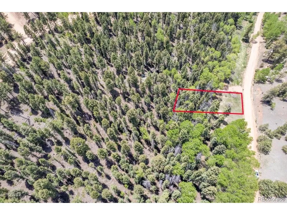 546 Spring Valley Lane Florissant, CO 80816