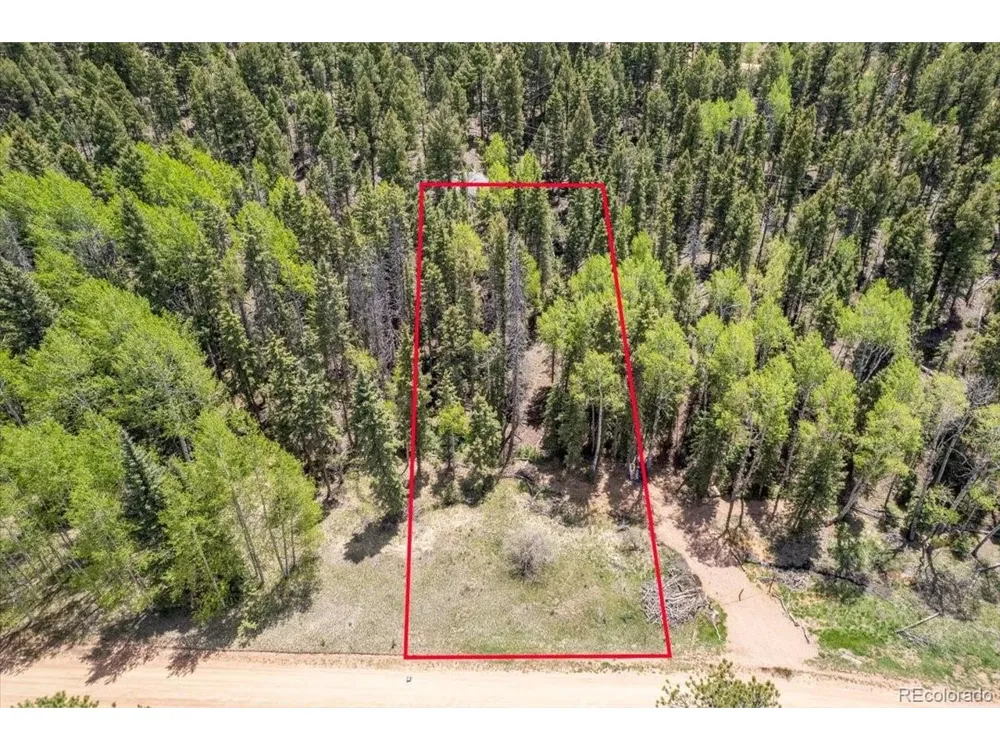 546 Spring Valley Lane Florissant, CO 80816