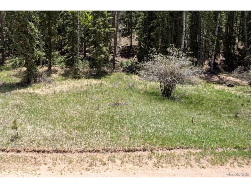 546 Spring Valley Lane Florissant, CO 80816