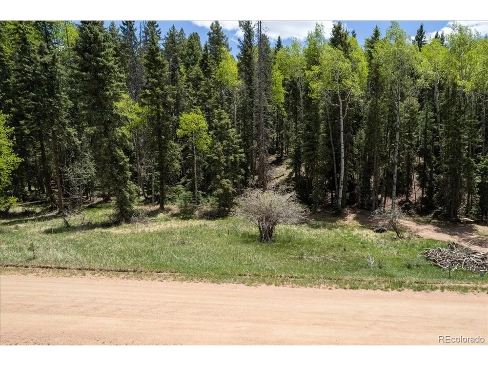 546 Spring Valley Lane Florissant, CO 80816