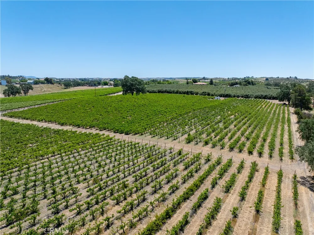 175 White Hawk Templeton, CA 93465
